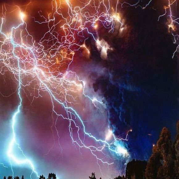 Meet your Posher, Ralph - Picture 1 of 1